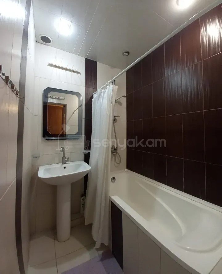 1 Սենյականոց Բնակարան Քարե Շենքում, 48քմ, 1/5 հարկ, Կապիտալ Վերանորոգված