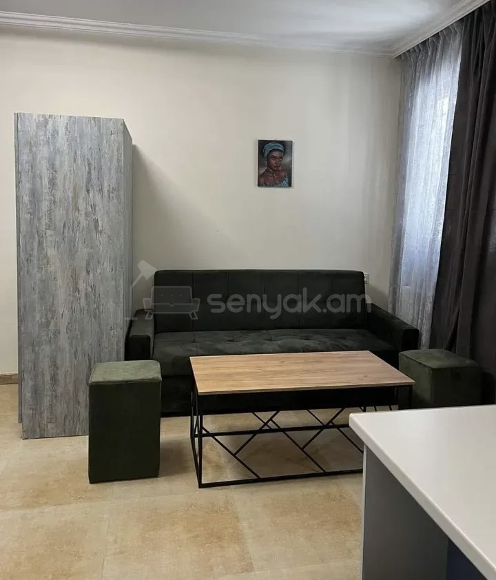 1 Սենյականոց Բնակարան Քարե Շենքում, 40քմ, 1/1 հարկ, Նորմալ Վիճակում, Կահավորված