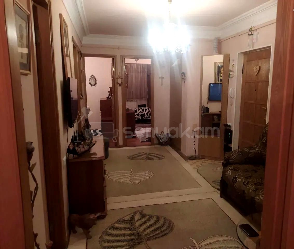 3 Սենյականոց Բնակարան, 77քմ, 3/9 հարկ, Կապիտալ Վերանորոգված