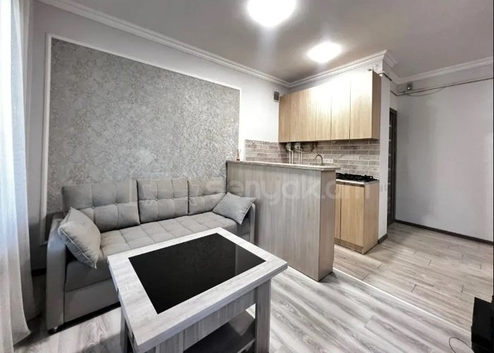 2 Սենյականոց Բնակարան, 40քմ, 1/9 հարկ, Կապիտալ Վերանորոգված, Կահավորված, Արևկող