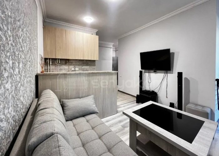 2 Սենյականոց Բնակարան, 40քմ, 1/9 հարկ, Կապիտալ Վերանորոգված, Կահավորված, Արևկող