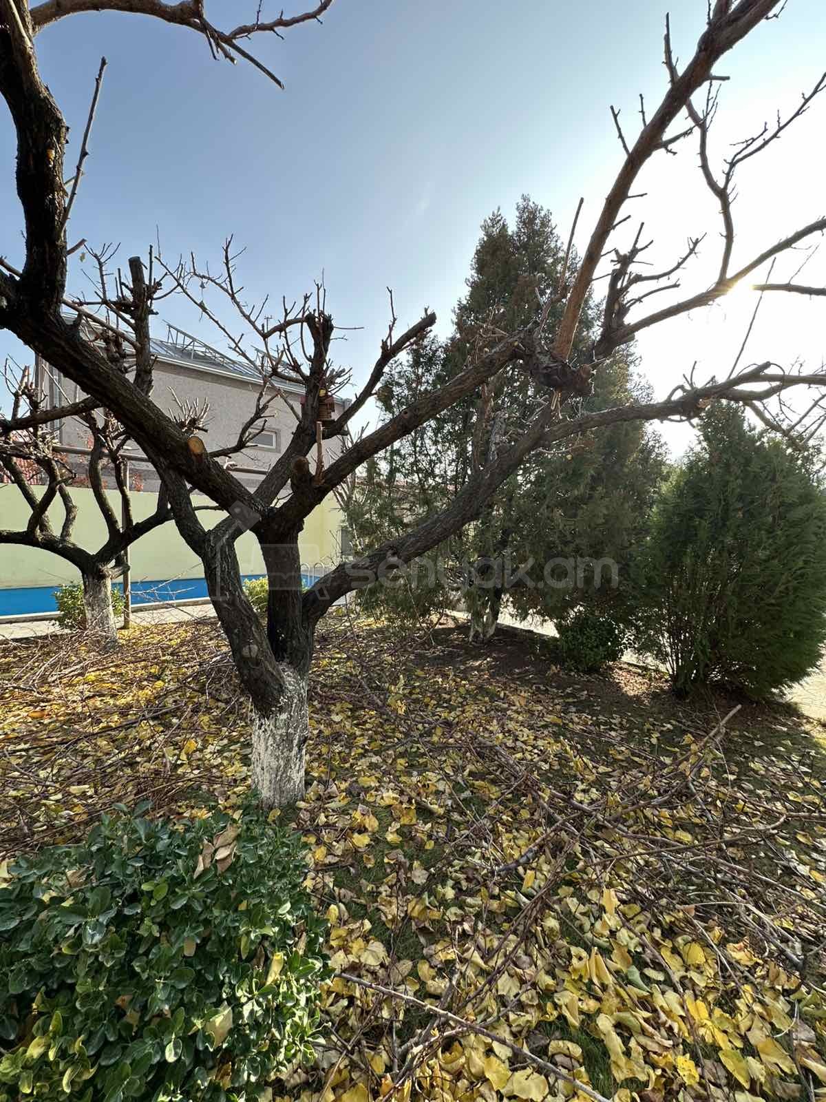 5 Սենյականոց Սեփական Տուն, 380քմ, Կապիտալ Վերանորոգված, Ավտոտնակով