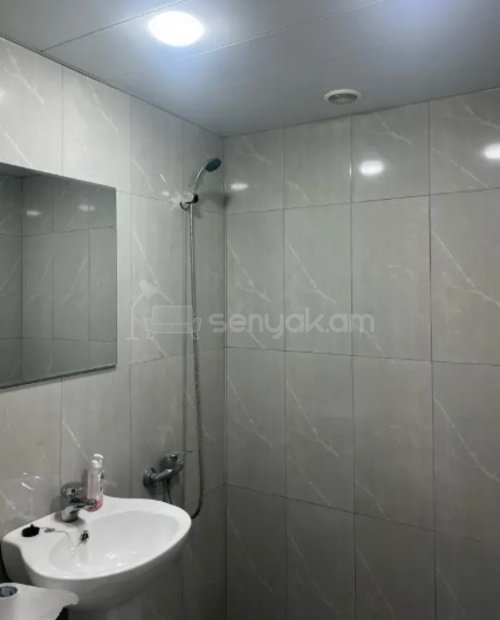 2 Սենյականոց Բնակարան Քարե Շենքում, 42քմ, 4/5 հարկ, Կապիտալ Վերանորոգված, Կահավորված, Արևկող