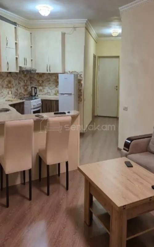 2 Սենյականոց Բնակարան, 50քմ, 8/12 հարկ, Կապիտալ Վերանորոգված, Կահավորված, Արևկող