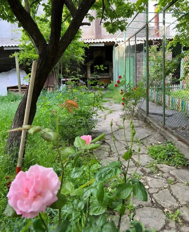 8 Սենյականոց Սեփական Տուն, 370քմ, Կապիտալ Վերանորոգված, Ավտոտնակով