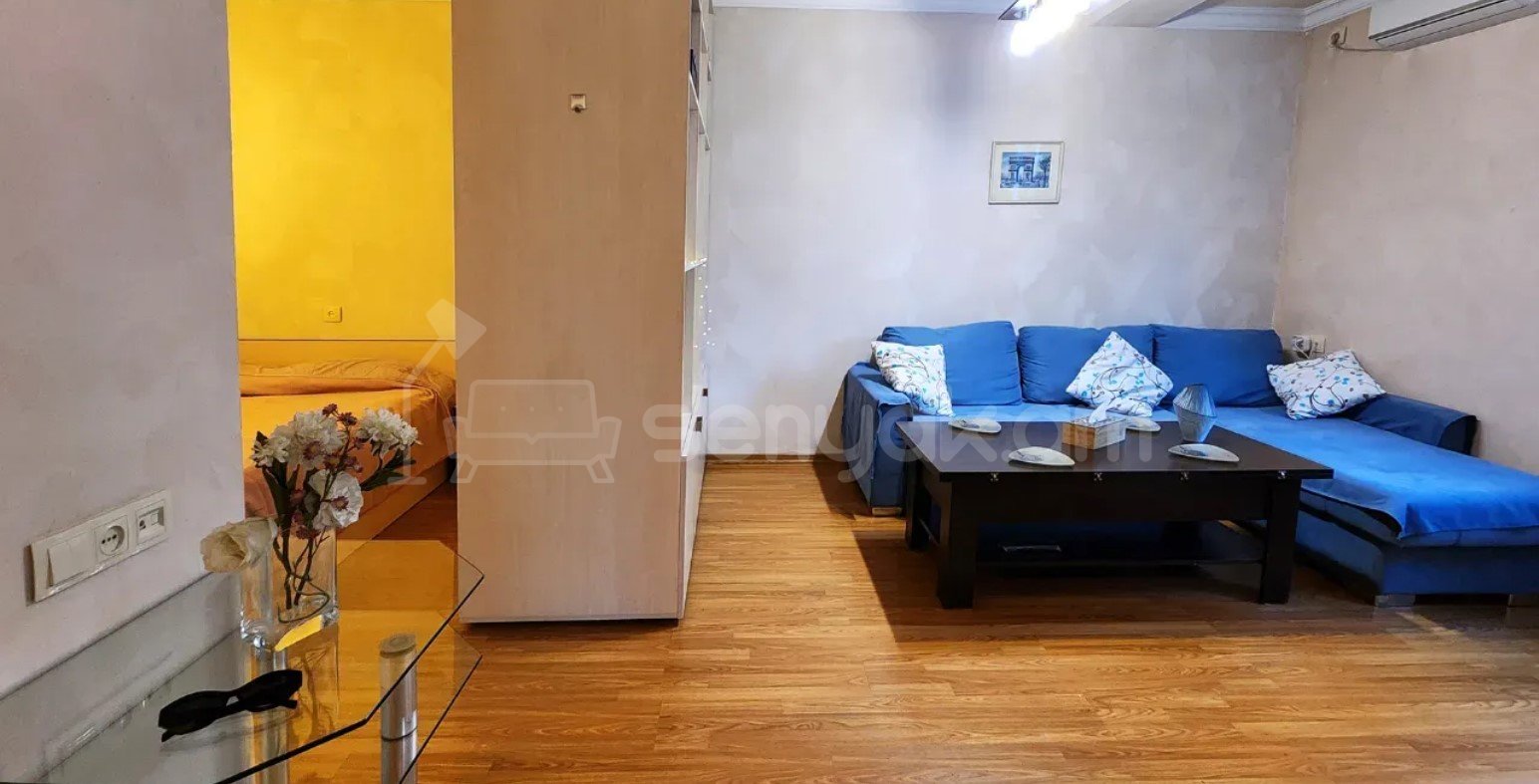 2 Սենյականոց Բնակարան, 42քմ, 2/9 հարկ, Կապիտալ Վերանորոգված, Կահավորված