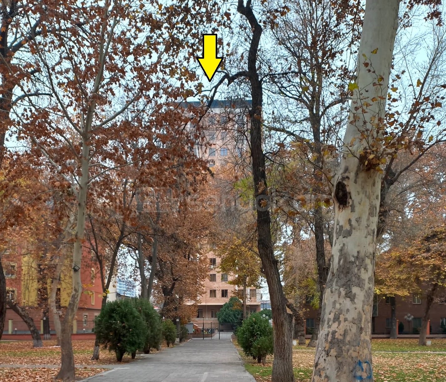 2 Սենյականոց Բնակարան Նորակառույցում, 58քմ, 6/11 հարկ, Դիզայներական Վերանորոգված, Կահավորված, Արևկող