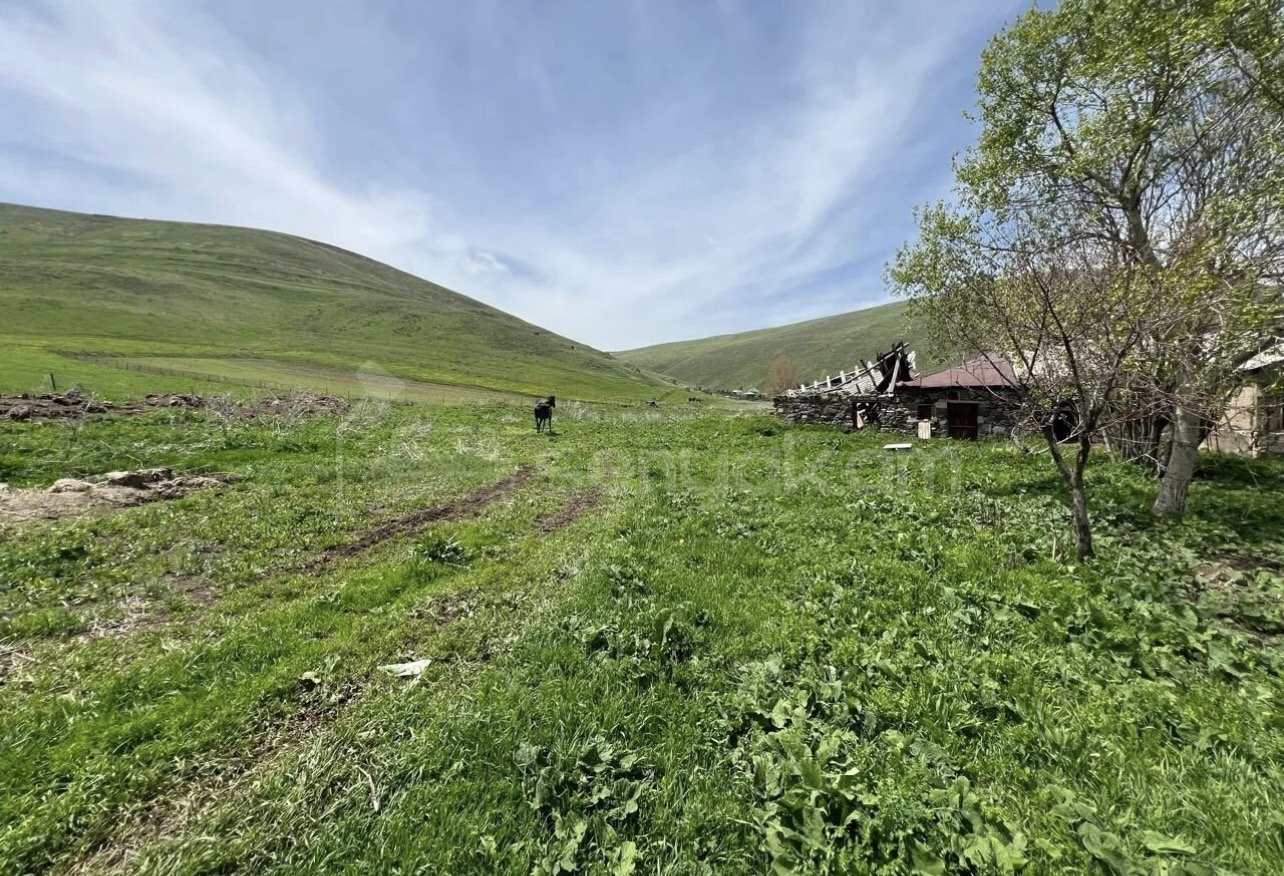 Հողամաս, 5000քմ, Ոռոգման Ջրով, Էլեկտրականությամբ, Պարսպապատ