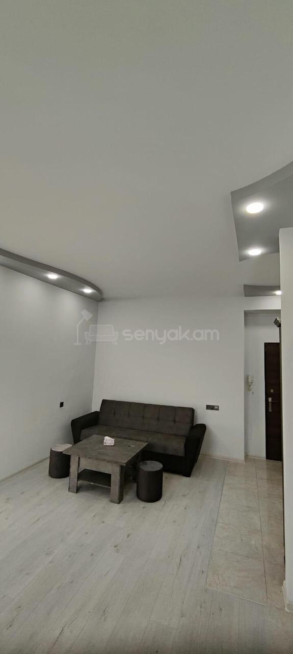 2 Սենյականոց Բնակարան Քարե Շենքում, 45քմ, 4/5 հարկ, Կապիտալ Վերանորոգված, Կահավորված, Արևկող