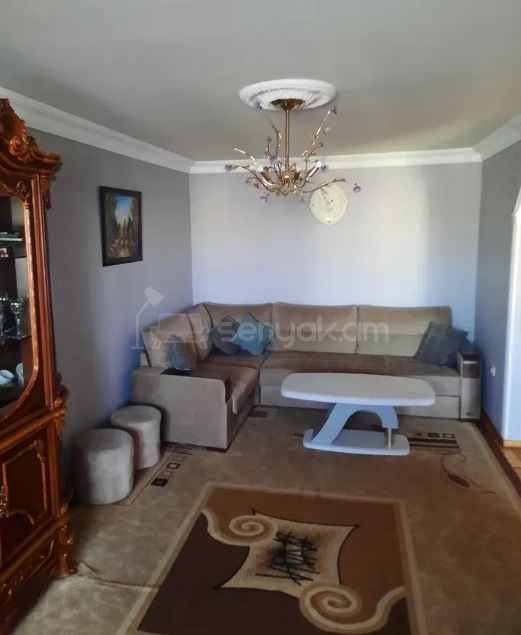 2 Սենյականոց Բնակարան, 54քմ, 4/4 հարկ, Կապիտալ Վերանորոգված