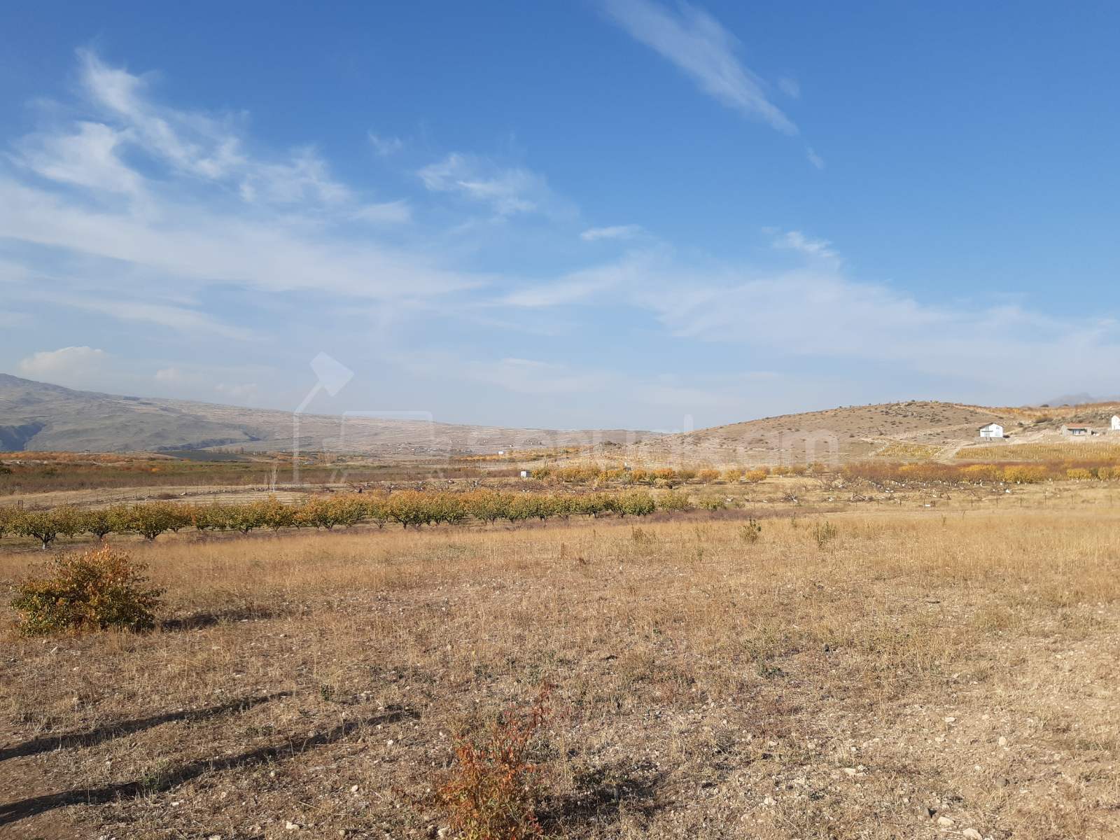 Հողամաս, 1000քմ