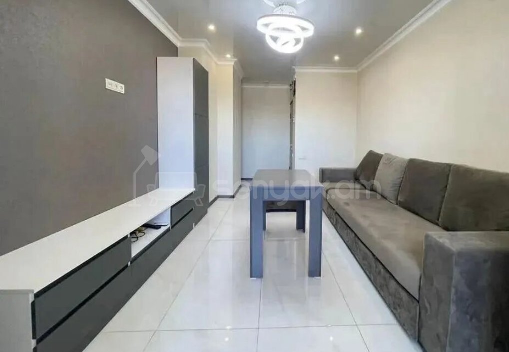 2 Սենյականոց Բնակարան, 46քմ, 9/9 հարկ, Կապիտալ Վերանորոգված, Կահավորված