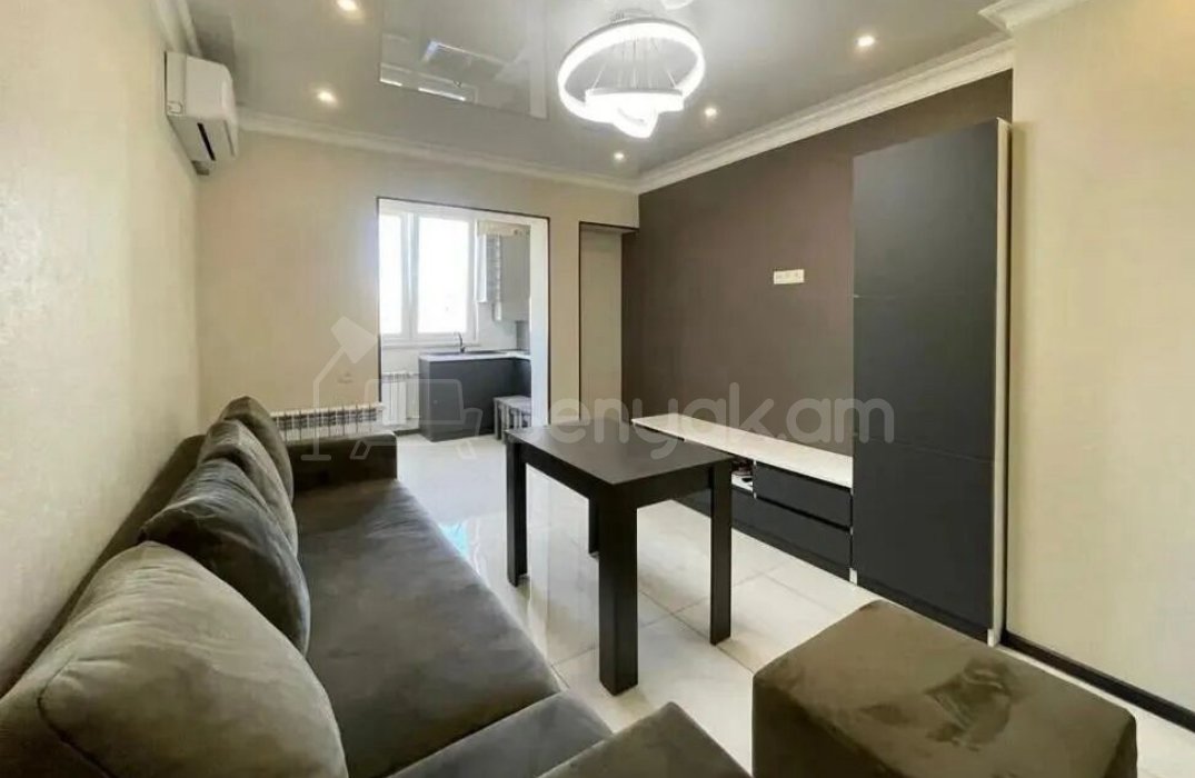 2 Սենյականոց Բնակարան, 46քմ, 9/9 հարկ, Կապիտալ Վերանորոգված, Կահավորված