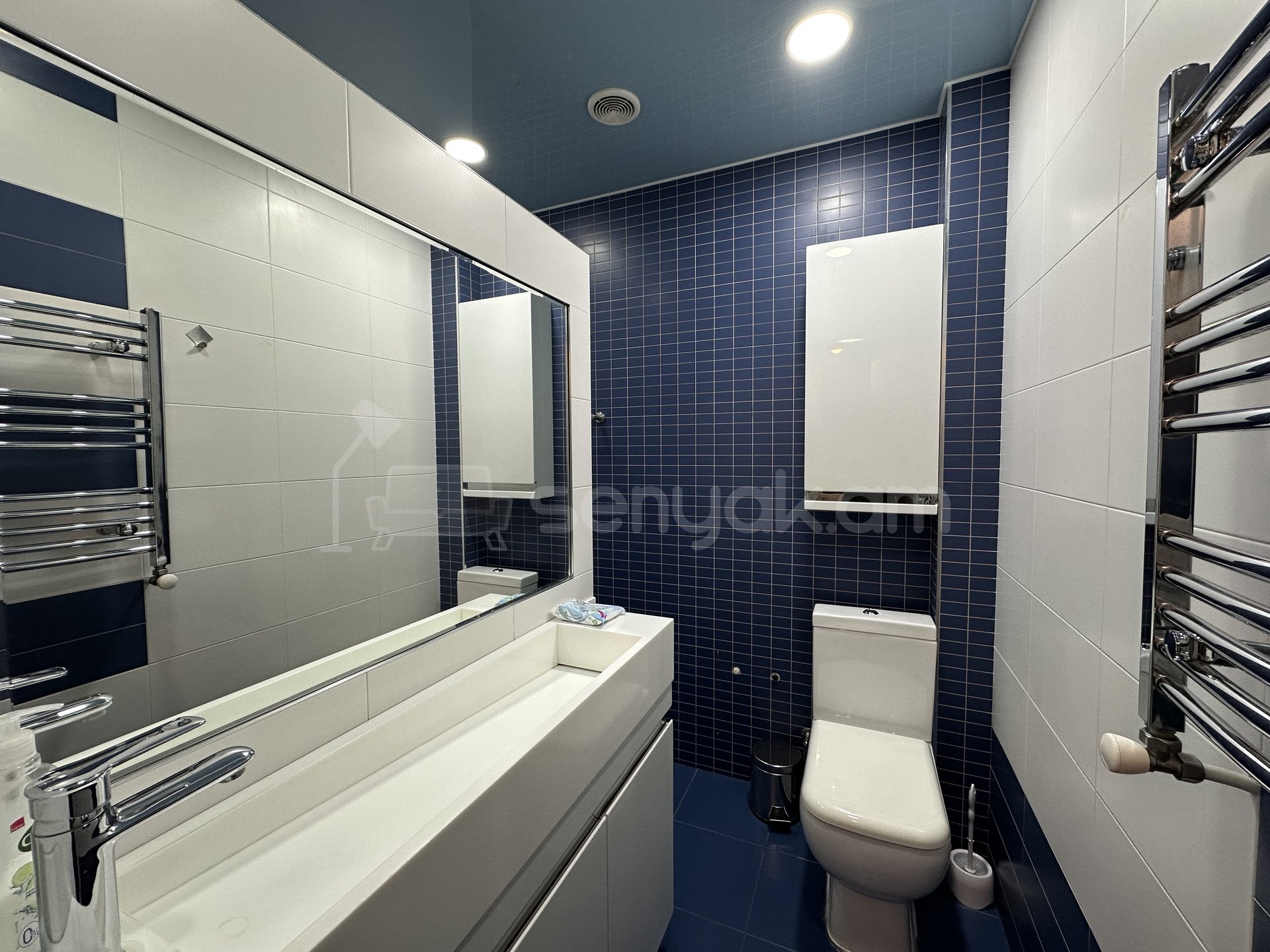 5 Սենյականոց Բնակարան, 235քմ, 5/10 հարկ, Կապիտալ Վերանորոգված, Կահավորված, Արևկող