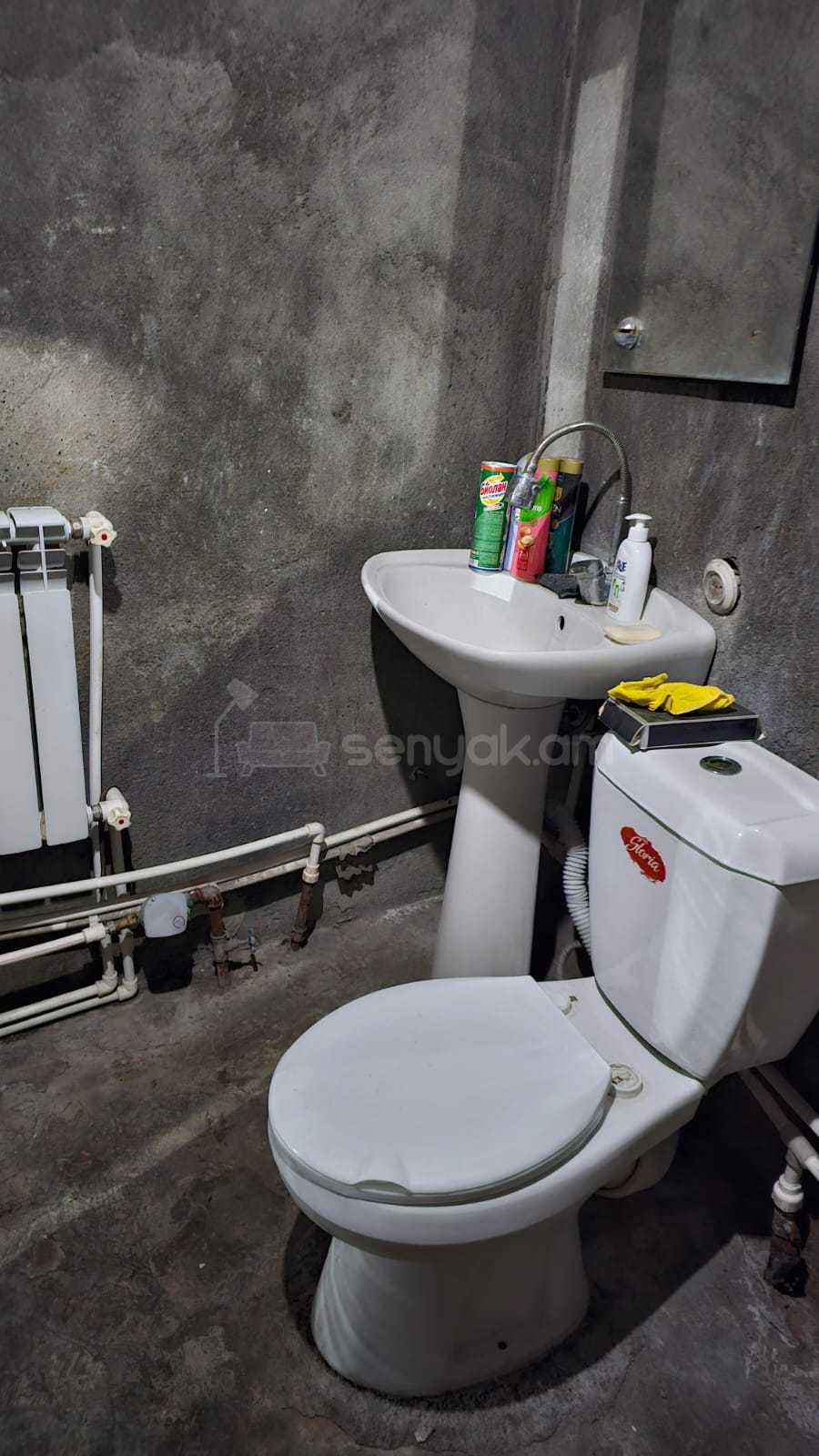 1 Սենյականոց Սեփական Տուն, 55քմ, Կոսմետիկ Վերանորոգված, Կահավորված