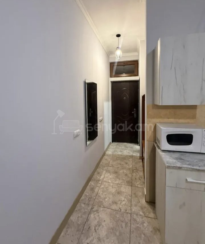 1 Սենյականոց Բնակարան Քարե Շենքում, 35քմ, 1/1 հարկ, Նորմալ Վիճակում, Կահավորված