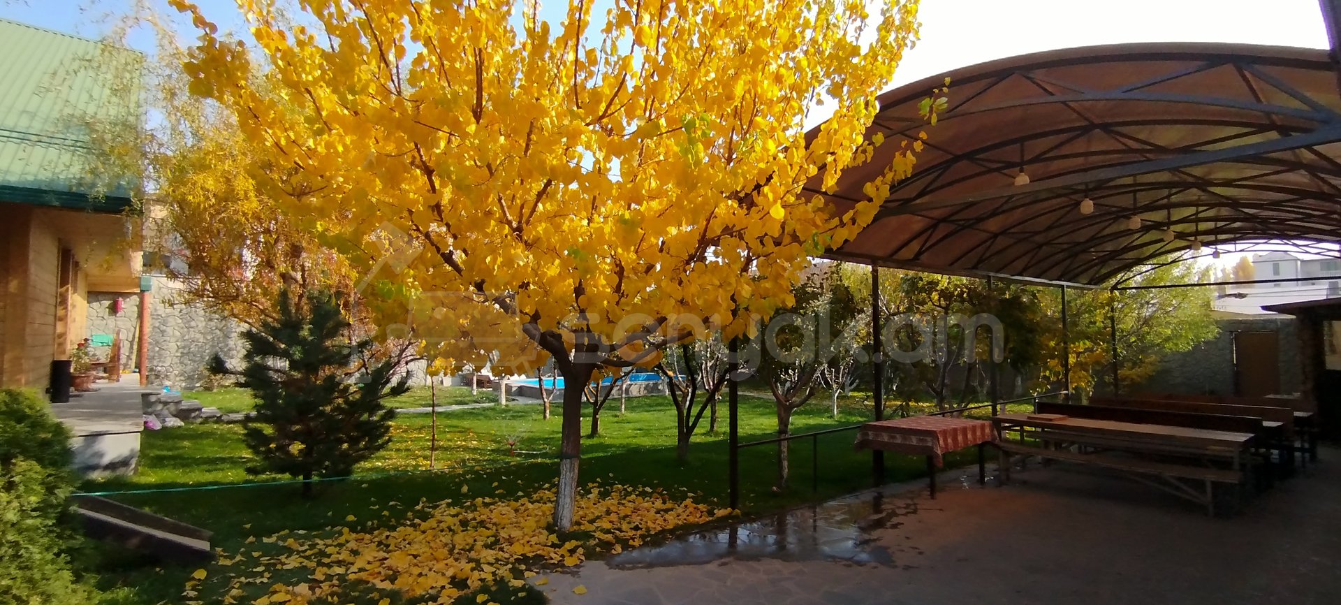 6 Սենյականոց Ամառանոց, 200քմ, Լողավազանով