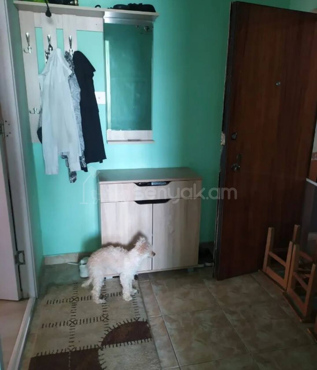 1 Սենյականոց Բնակարան, 47քմ, 3/9 հարկ, Կոսմետիկ Վերանորոգված