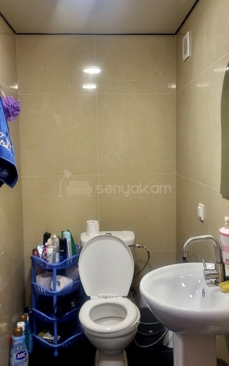 1 Սենյականոց Շքեղ Առանձնատուն, 40քմ, Կահավորված