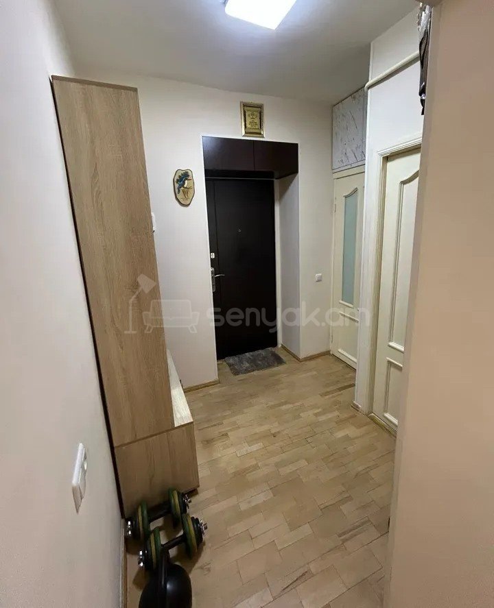 1 Սենյականոց Բնակարան Քարե Շենքում, 47քմ, 2/5 հարկ, Կոսմետիկ Վերանորոգված