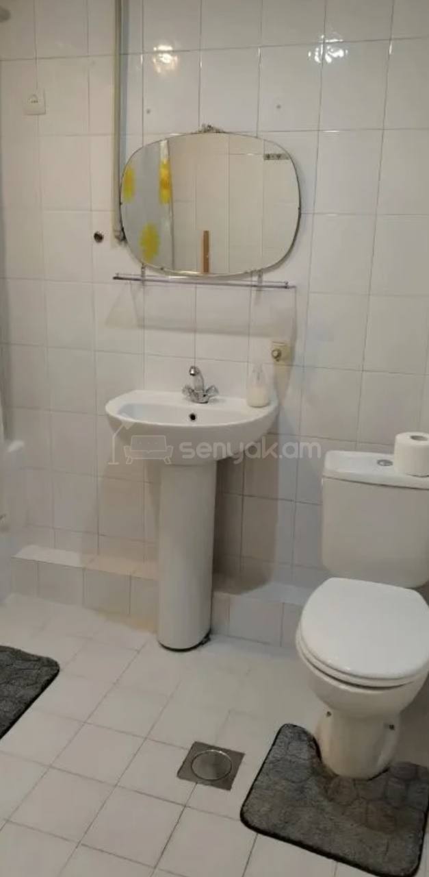 3 Սենյականոց Բնակարան, 66քմ, 8/14 հարկ, Նորմալ Վիճակում, Կահավորված