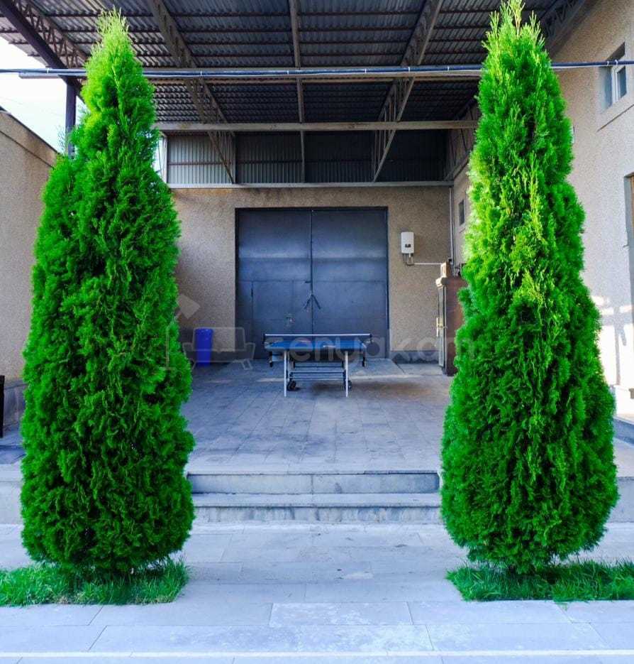 5 Սենյականոց Շքեղ Առանձնատուն, 250քմ, Լողավազանով