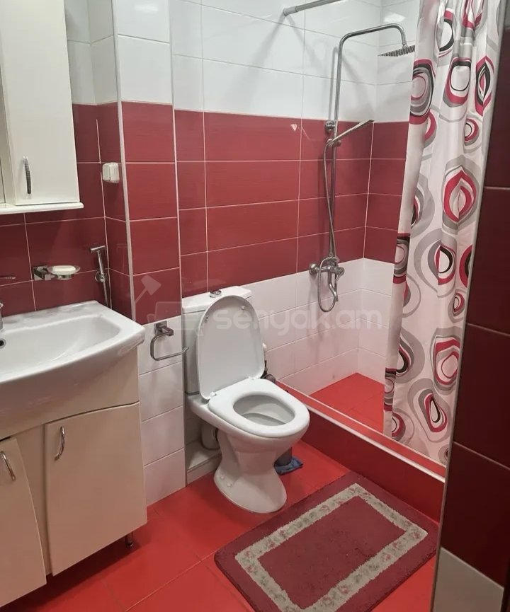 2 Սենյականոց Բնակարան Քարե Շենքում, 52քմ, 4/9 հարկ, Կապիտալ Վերանորոգված, Կահավորված, Արևկող