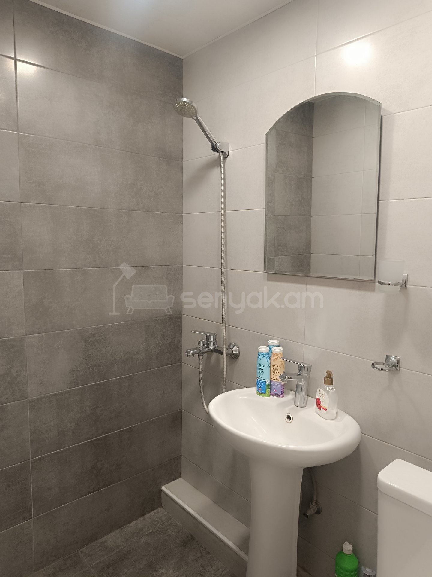 1 Սենյականոց Բնակարան Քարե Շենքում, 27քմ, 2/5 հարկ, Կապիտալ Վերանորոգված, Կահավորված, Արևկող