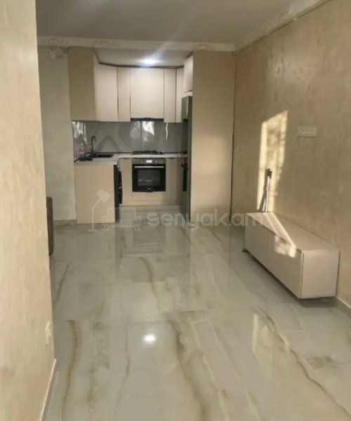 2 Սենյականոց Բնակարան, 46քմ, 11/12 հարկ, Կապիտալ Վերանորոգված, Կահավորված, Արևկող