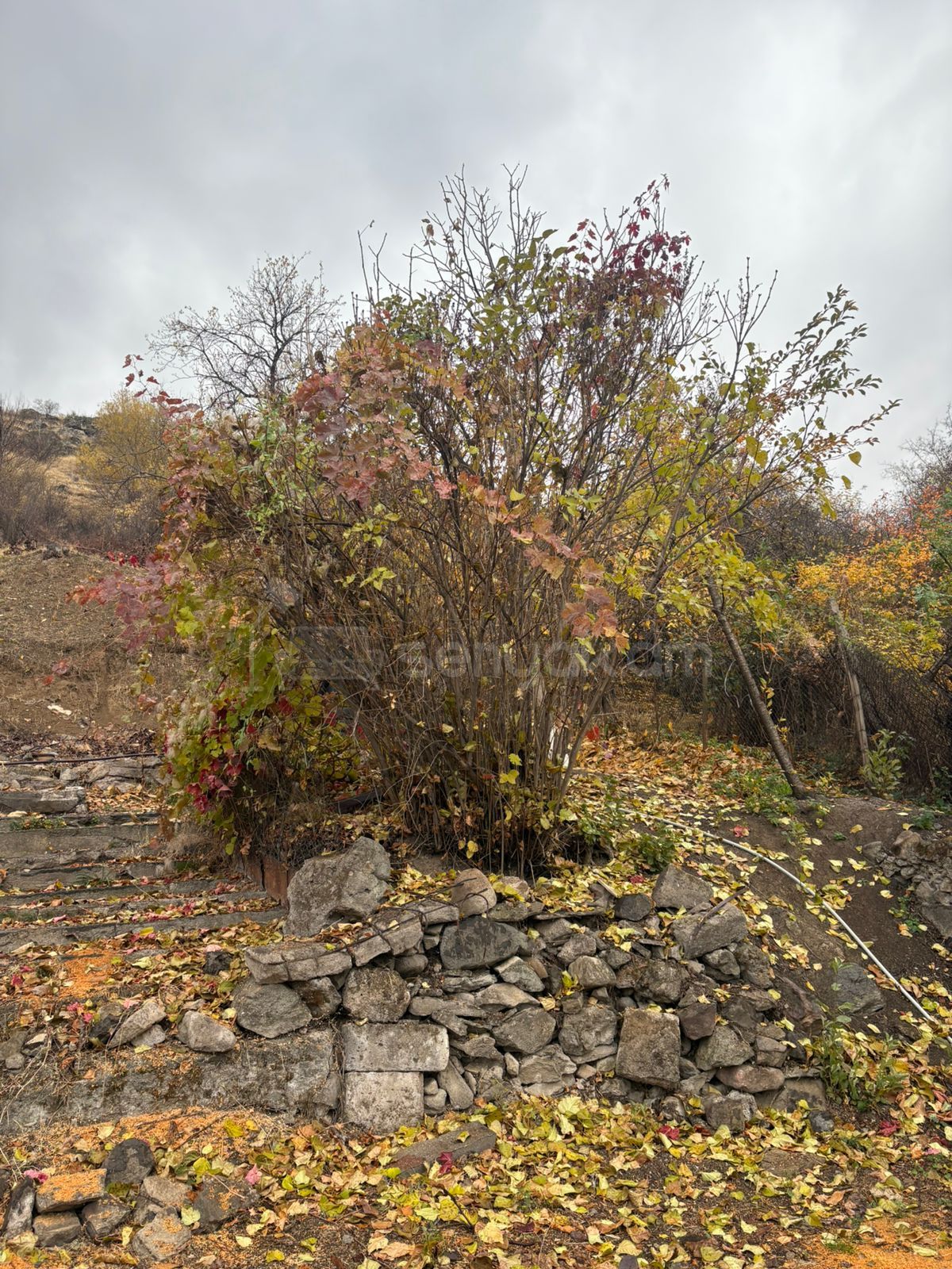 Բնակելի Նշանակության Հողատարածք, 3000քմ, Խմելու Ջրով, Էլեկտրականությամբ, Պարսպապատ