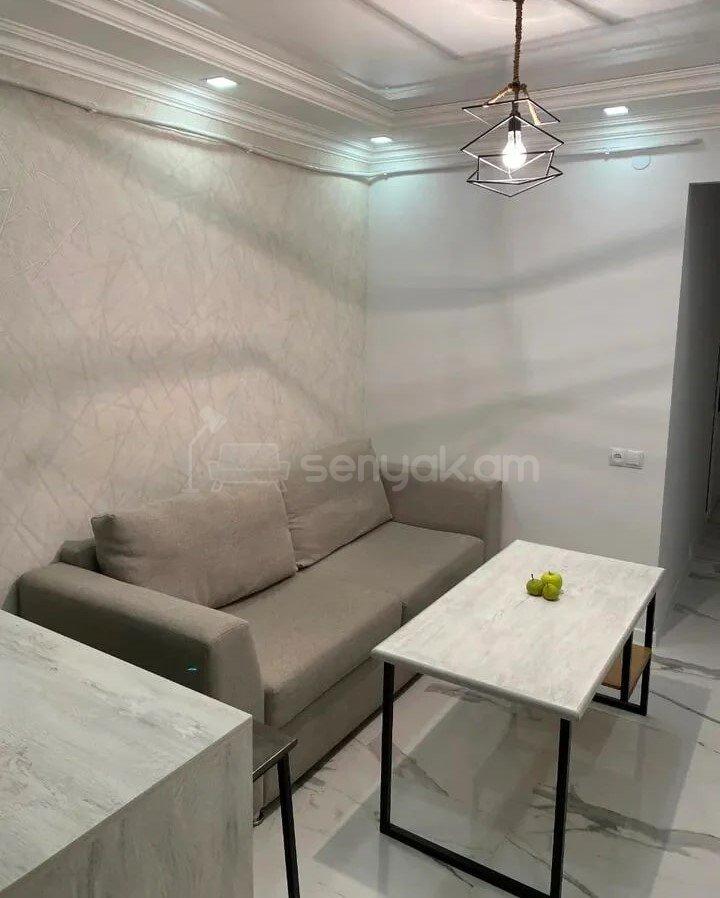 2 Սենյականոց Բնակարան, 36քմ, 6/16 հարկ, Կապիտալ Վերանորոգված