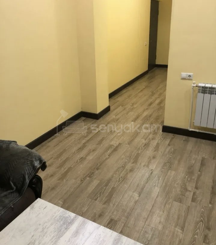 1 Սենյականոց Բնակարան Քարե Շենքում, 30քմ, 1/1 հարկ, Կապիտալ Վերանորոգված, Կահավորված