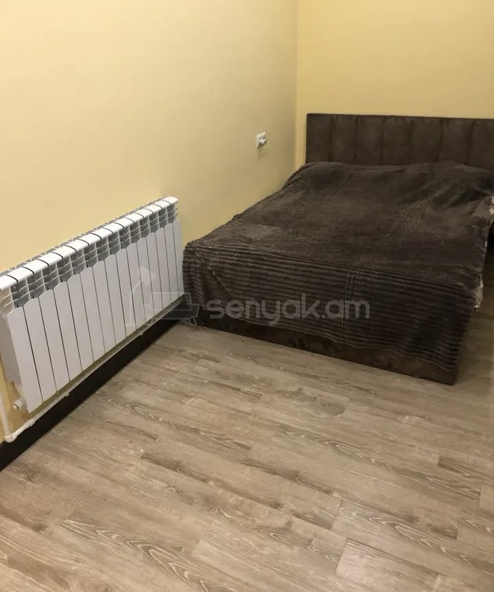 1 Սենյականոց Բնակարան Քարե Շենքում, 30քմ, 1/1 հարկ, Կապիտալ Վերանորոգված, Կահավորված