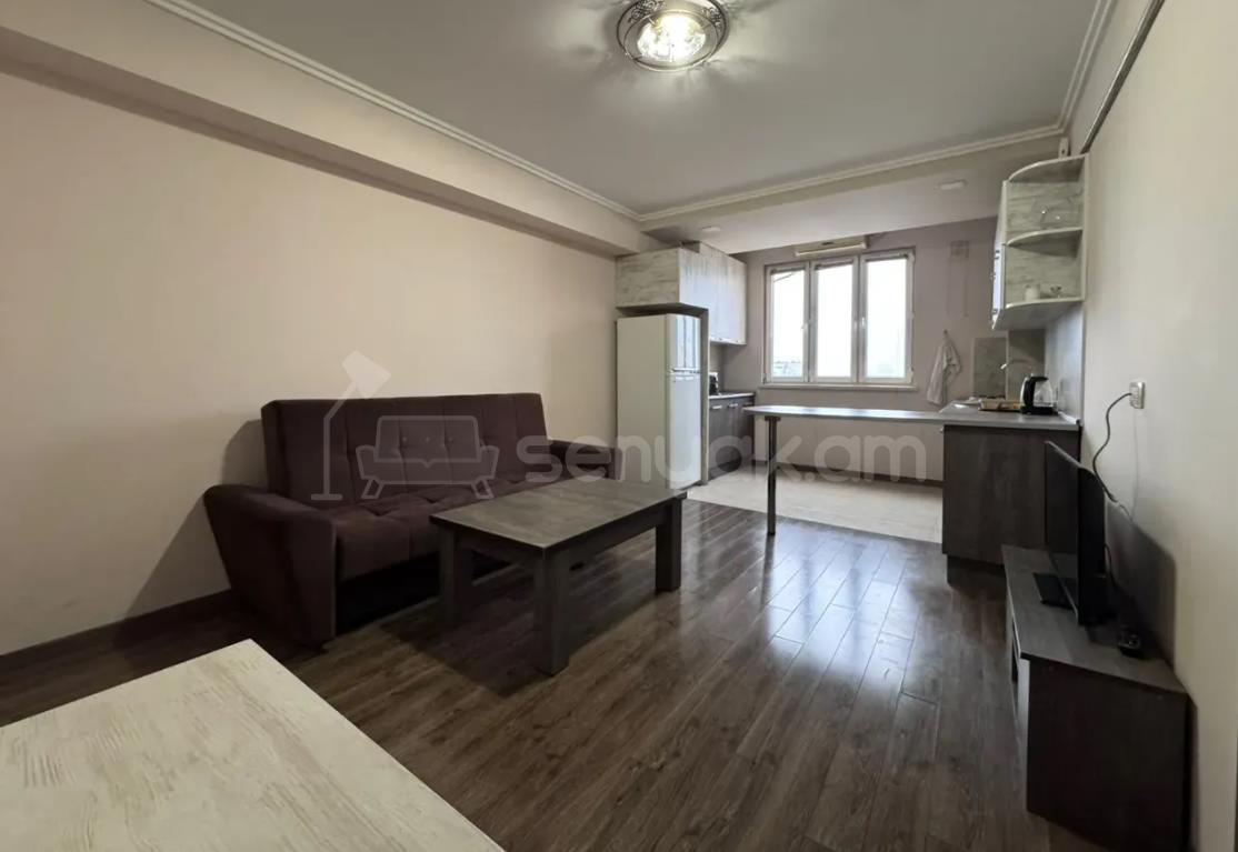 2 Սենյականոց Բնակարան, 45քմ, 9/9 հարկ, Կապիտալ Վերանորոգված, Կահավորված