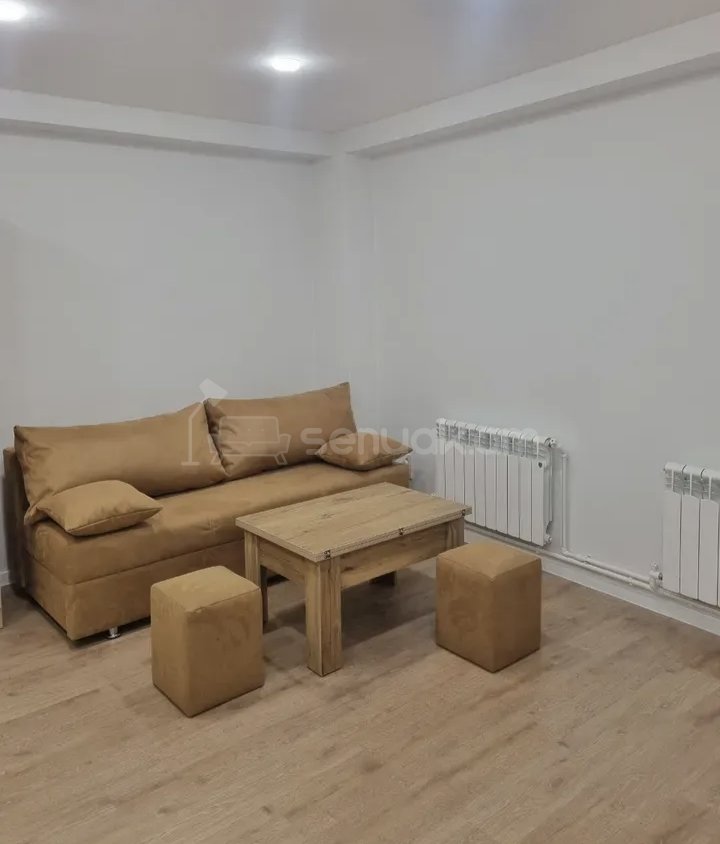 1 Սենյականոց Բնակարան Քարե Շենքում, 40քմ, 1/1 հարկ, Կապիտալ Վերանորոգված, Կահավորված, Արևկող