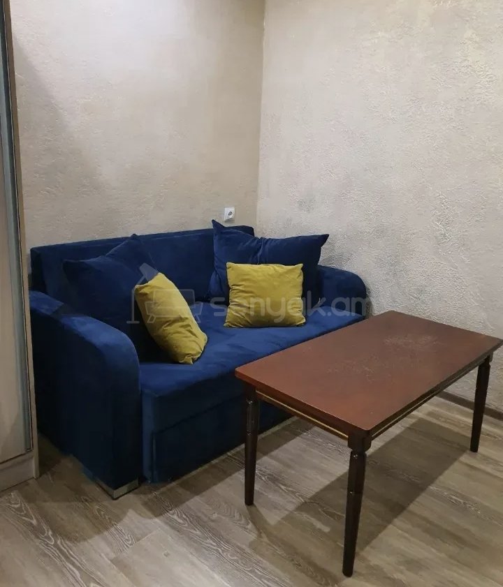 1 Սենյականոց Բնակարան Քարե Շենքում, 40քմ, 1/1 հարկ, Նորմալ Վիճակում, Կահավորված