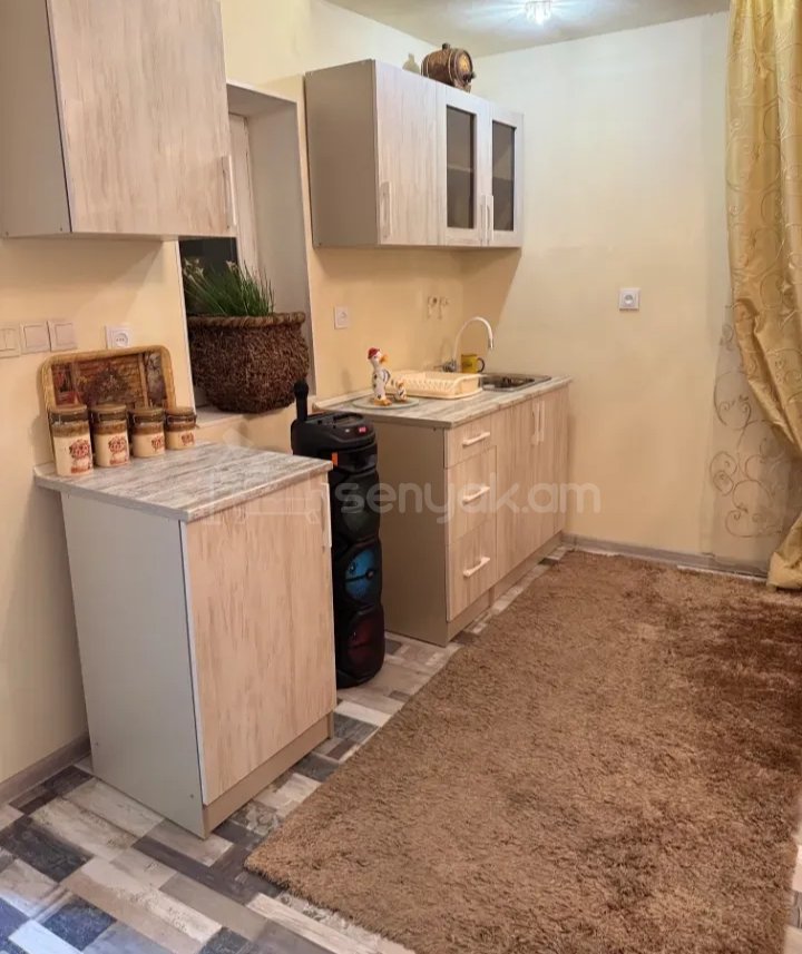 2 Սենյականոց Բնակարան Քարե Շենքում, 56քմ, 1/1 հարկ, Կապիտալ Վերանորոգված, Կահավորված