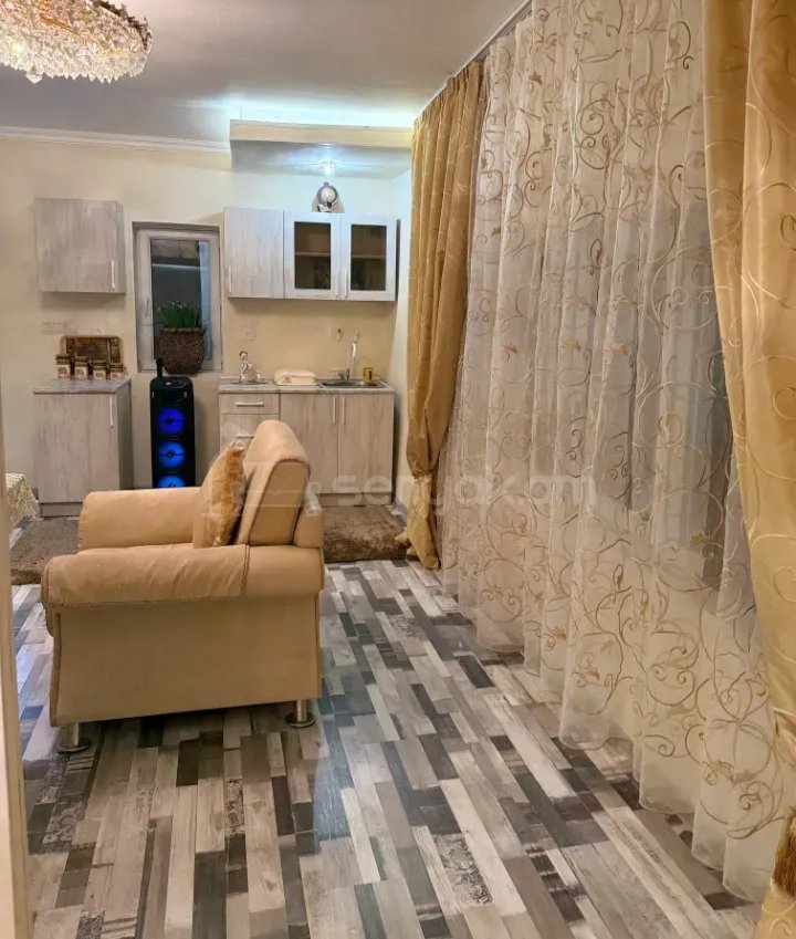 2 Սենյականոց Բնակարան Քարե Շենքում, 56քմ, 1/1 հարկ, Կապիտալ Վերանորոգված, Կահավորված