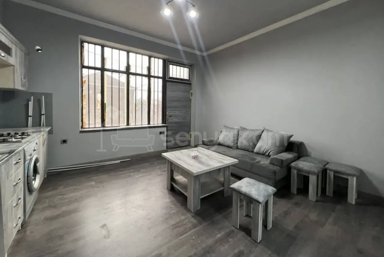 2 Սենյականոց Բնակարան Քարե Շենքում, 52քմ, 1/1 հարկ, Կապիտալ Վերանորոգված, Կահավորված