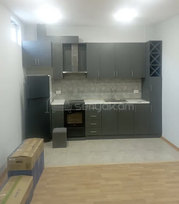 2 Սենյականոց Բնակարան Քարե Շենքում, 56քմ, 1/1 հարկ, Կապիտալ Վերանորոգված, Կահավորված