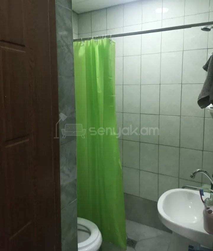 2 Սենյականոց Բնակարան Քարե Շենքում, 58քմ, 1/1 հարկ, Կապիտալ Վերանորոգված, Կահավորված