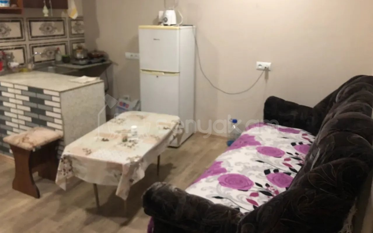 2 Սենյականոց Բնակարան Քարե Շենքում, 45քմ, 1/1 հարկ, Նորմալ Վիճակում, Կահավորված