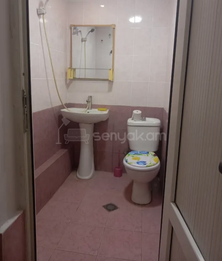 2 Սենյականոց Բնակարան, 58քմ, 2/9 հարկ, Նորմալ Վիճակում, Կահավորված