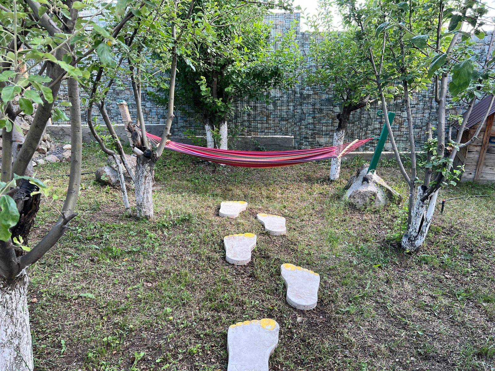 3 Սենյականոց Ամառանոց, 250քմ