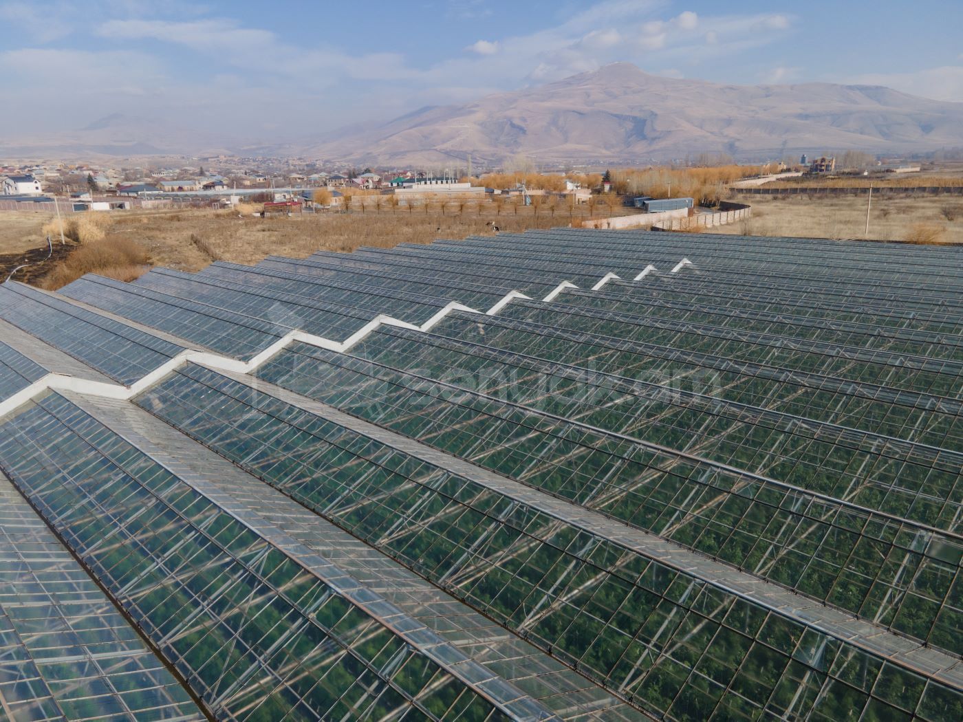 Կոմերցիոն Հողատարածք, 15000քմ, Ոռոգման Ջրով, Էլեկտրականությամբ