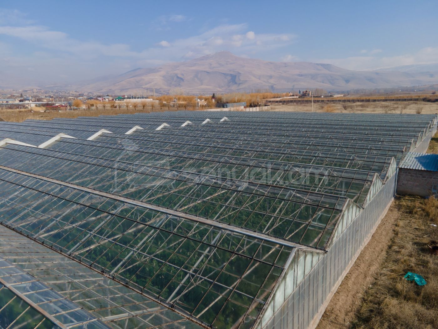 Կոմերցիոն Հողատարածք, 15000քմ, Ոռոգման Ջրով, Էլեկտրականությամբ