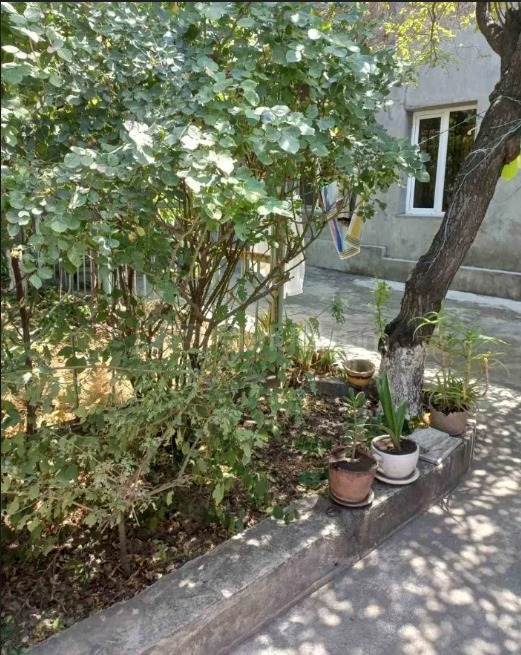 3 Սենյականոց Սեփական Տուն, 90քմ, Կապիտալ Վերանորոգված, Կահավորված