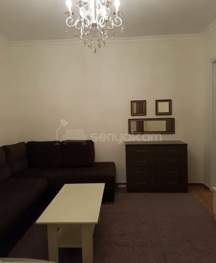 1 Սենյականոց Բնակարան Քարե Շենքում, 40քմ, 3/5 հարկ, Նորմալ Վիճակում, Կահավորված