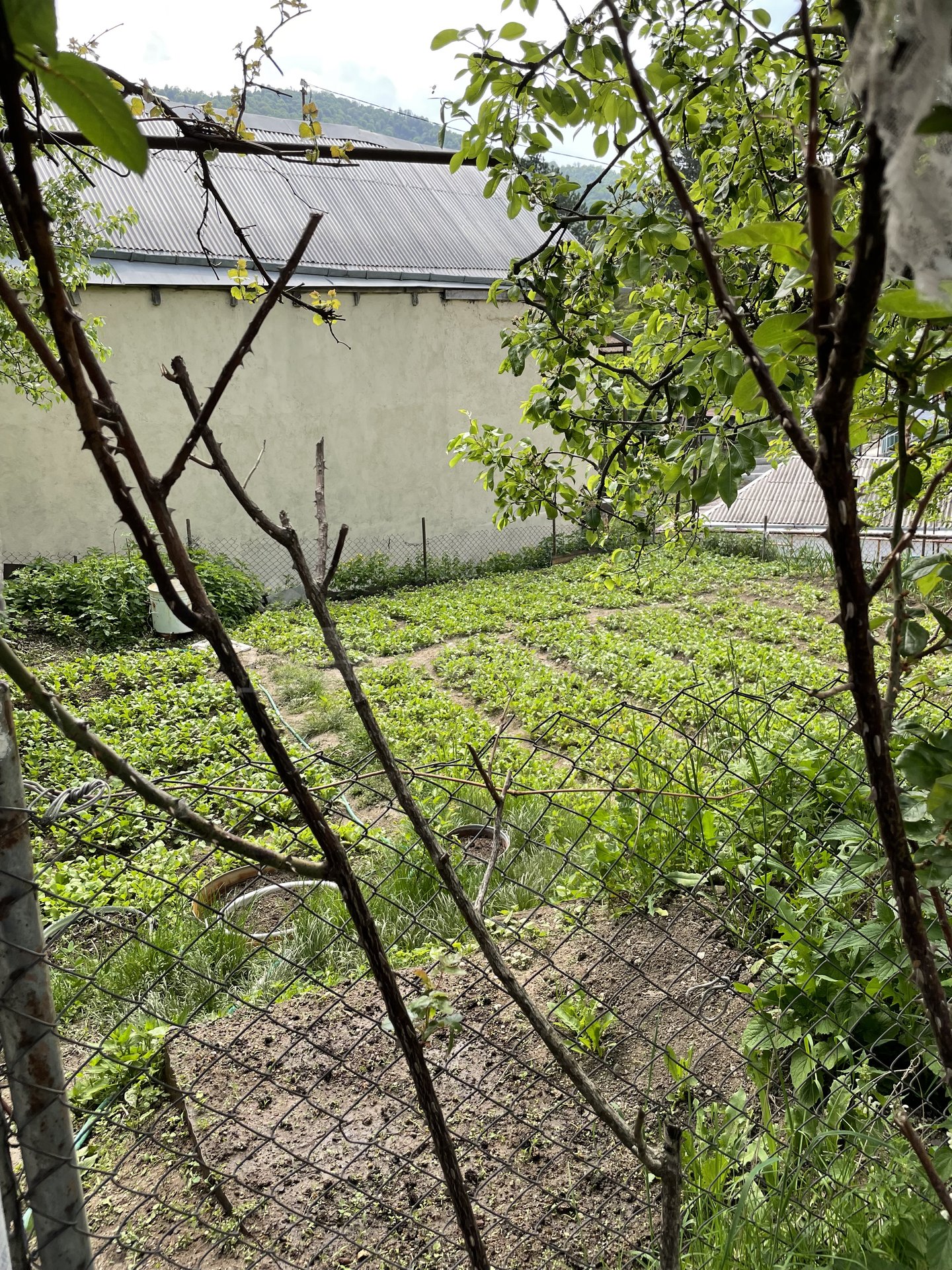 Բնակելի Նշանակության Հողատարածք, 2430քմ, Խմելու Ջրով, Էլեկտրականությամբ, Պարսպապատ