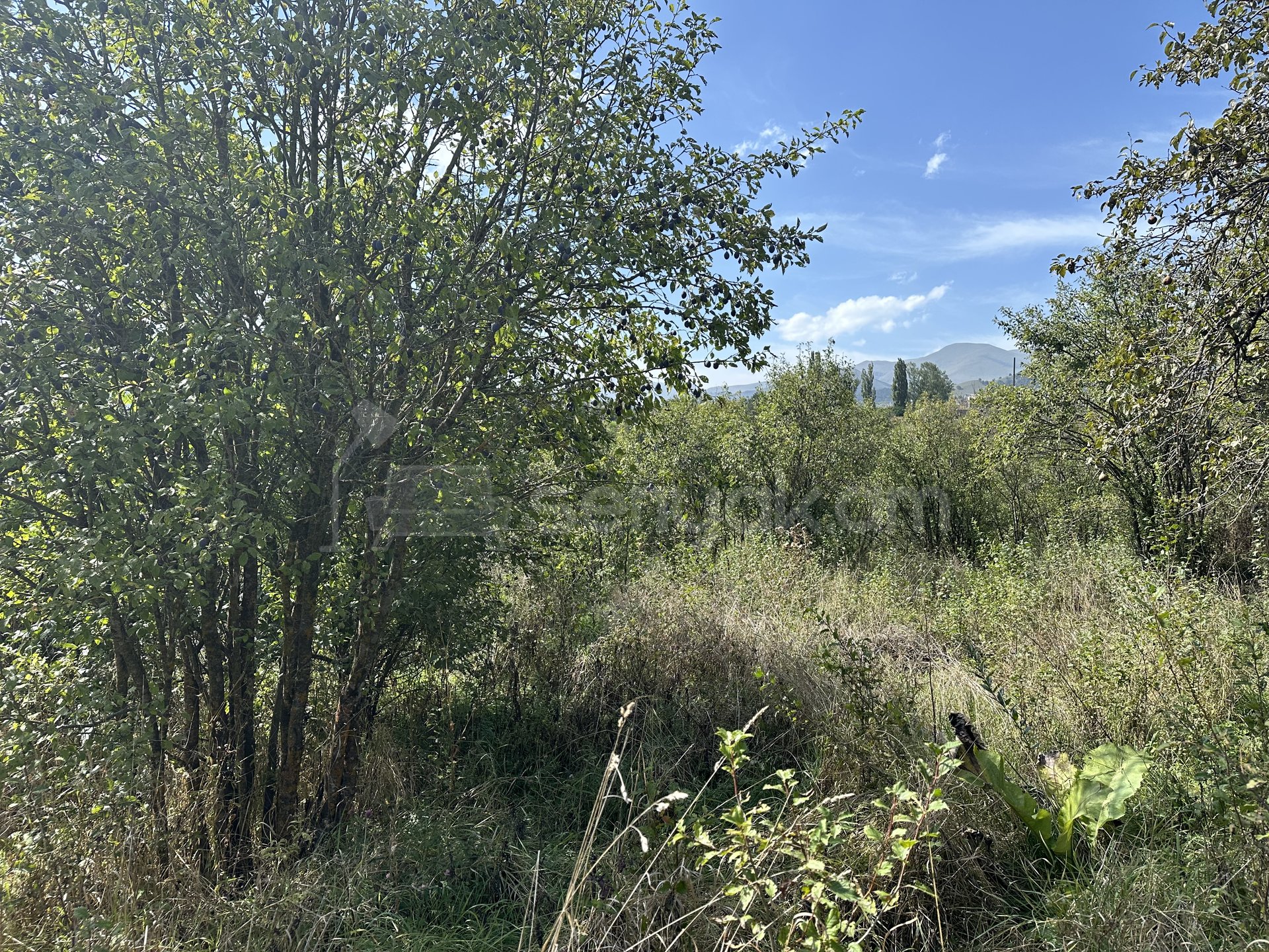 Բնակելի Նշանակության Հողատարածք, 2430քմ, Խմելու Ջրով, Էլեկտրականությամբ, Պարսպապատ